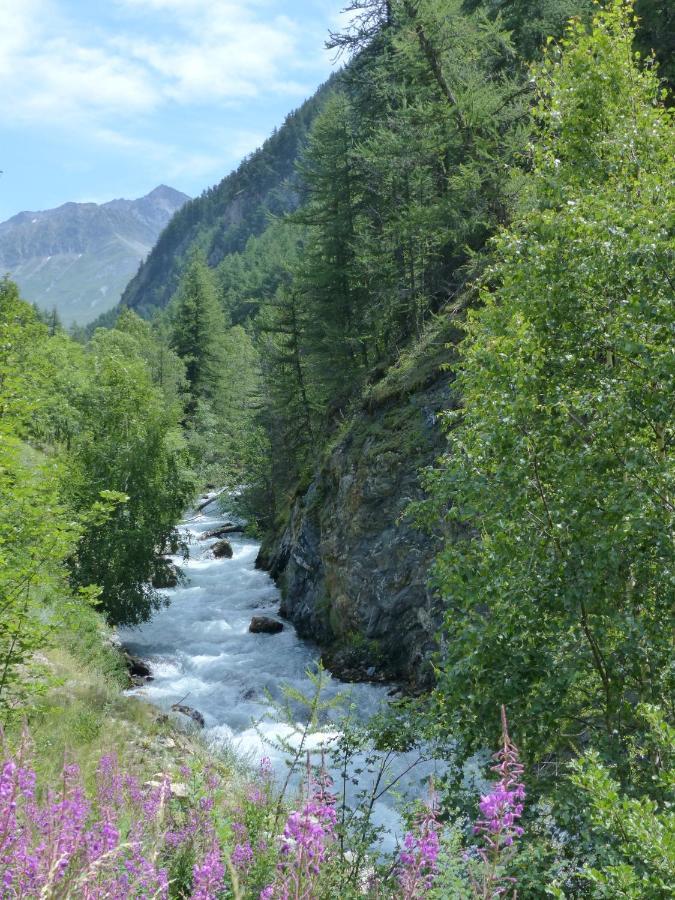 Appartamento Tranquillité et authenticité au pied des Ecrins Villar-dʼArène Esterno foto